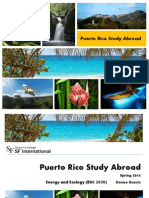 Puerto Rico Study Abroad