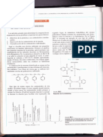 Amino Acid Os