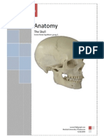 The Skull PDF