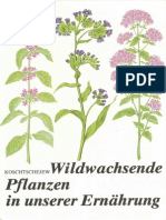 Wildwachsende Pflanzen in Unserer Ernährung PDF