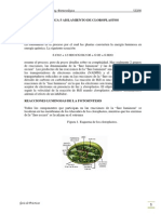 Practica 5 Aislamiento de Cloroplastos