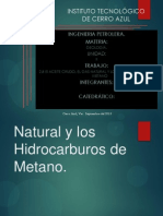 Los Aceites, El Gas Natural y Los Hidrocarburos de Metano.