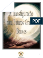 Transfiguração para Pequenos Grandes Bruxos - 2º Ano