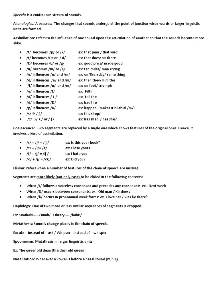 Phonological Processes in Speech | PDF