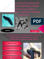 Slide Fitokimia