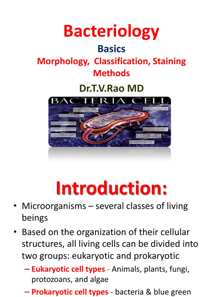 Bacteriology vBasics Morphology, Classification, Staining Methods