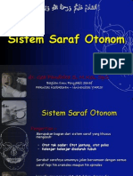 Sistem Saraf Otonom