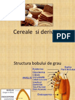 Cereale Si Derivate Cerealiere