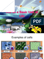 Cell As A Basic Unit of Life