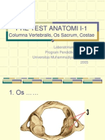 Pre Test Anatomi I-1: Columna Vertebralis, Os Sacrum, Costae