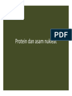 Protein Dan Asam Nukleat-1 PDF