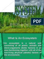 What Is An Ecosystem