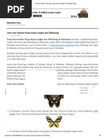 Download Jenis Dan Gambar Kupu-Kupu Langka Dan Dilindungi _ Alamendahs Blog by Andy Eka Saputra SN183011577 doc pdf