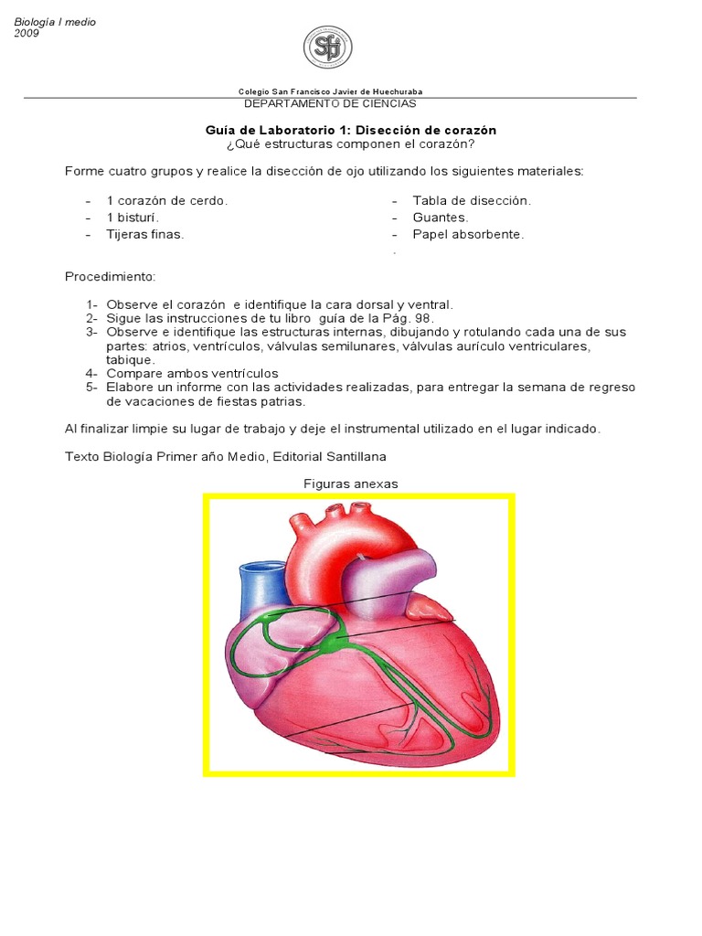 Guía Astrológica Para Corazones Rotos Pdf Gratis
