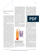 Aminoglycoside Ototoxicity Caused by Permeant Drug Entry