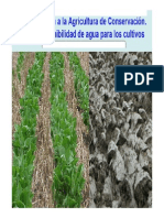 Agricultura de Conservacion