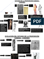 EVOLUCIÓN DEL ESTUDIO DE LA PROPORCIÓN HUMANA Modificado