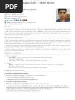 Senior Delphi Developer