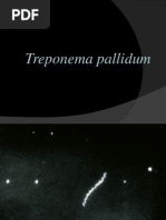Download Treponema pallidum seminarppt by KalinaKalinic SN183069178 doc pdf