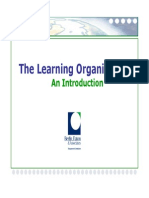 Learning Organization Presentation PDF