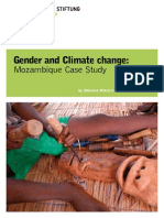 Gender and Climate Change:: Mozambique Case Study