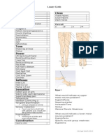 Lower Limb OSCE Exam Checklist