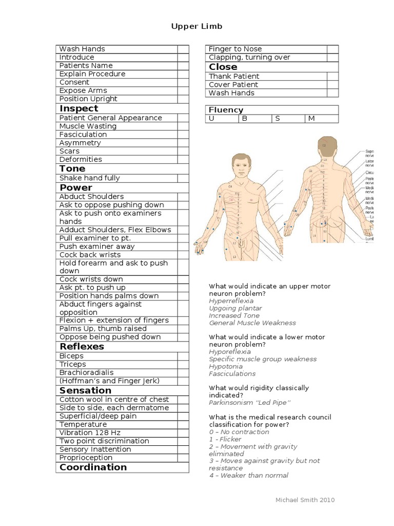 neuro examination template