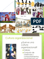 Cultura Organicacional