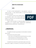 apunteslos-instrumentos-musicales.pdf