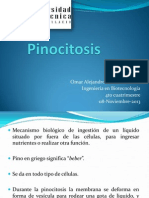 Pinocitosis