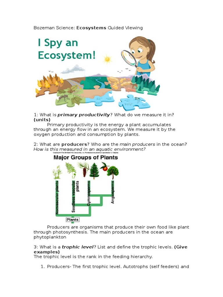 bozeman-science-ecosystems-guided-viewing-food-web-ecosystem