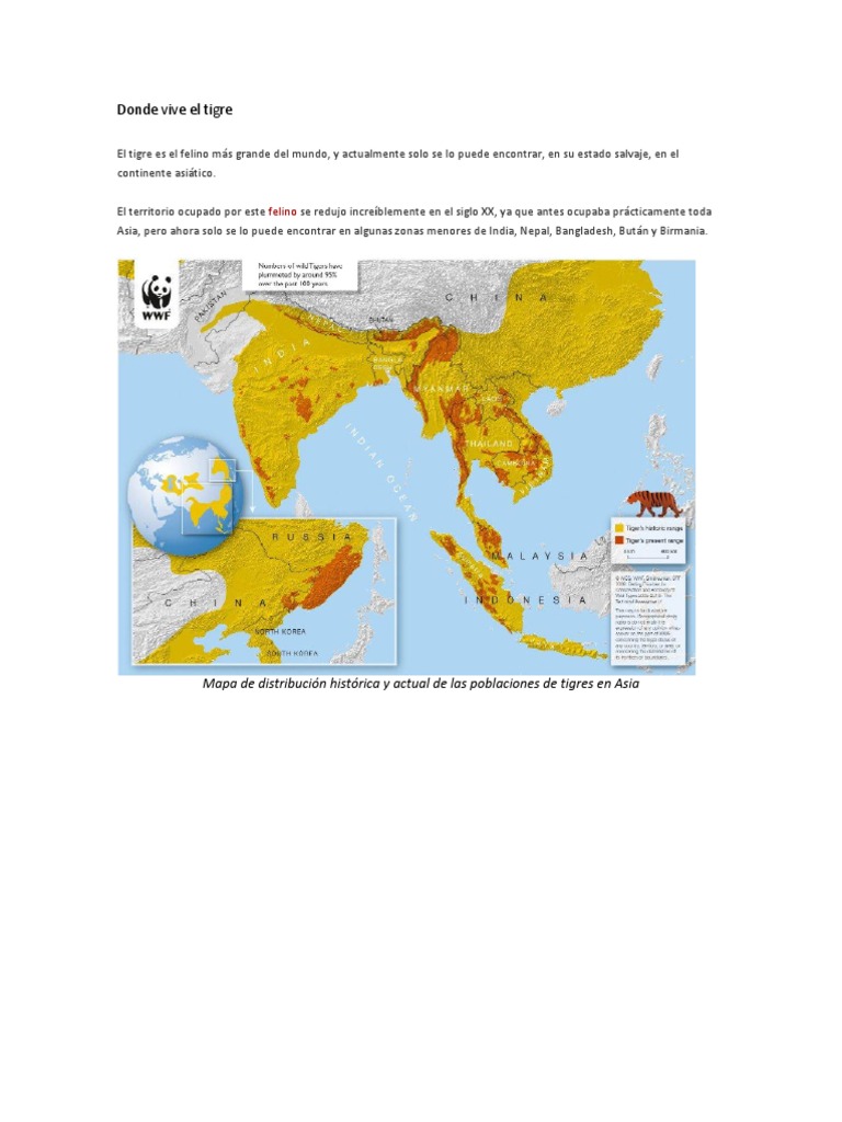 Donde Vive El Tigre | Tigre | Mamíferos de asia