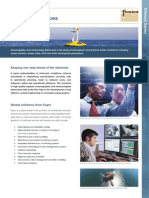 Metocean Services PDF
