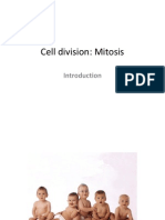 mitosis image.pptx