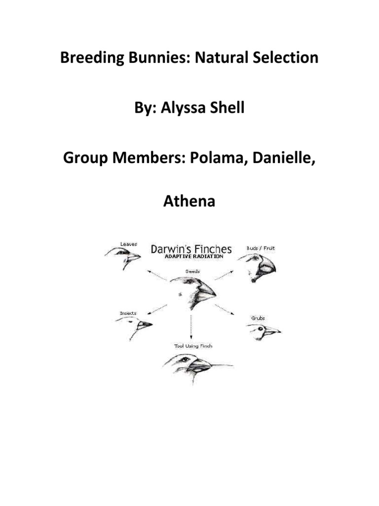 Lab natural selection student guide answers picture