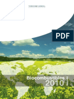 Informe Biocombustibles 2010