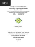 Download KONSERVASI PENYU  DI INDONESIA pdf by Amilah Kamsu SN183159675 doc pdf