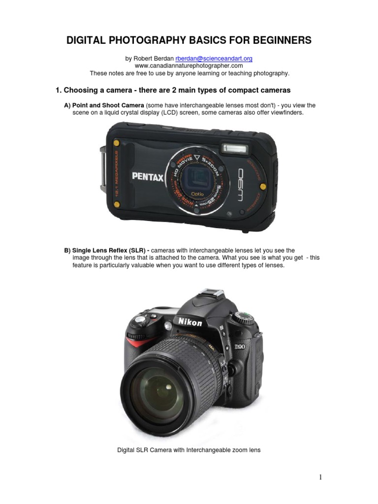 Digital Photography Tips for Beginners | PDF