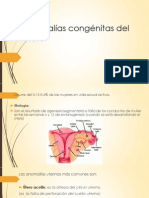 Anomalías Congénitas Del Útero