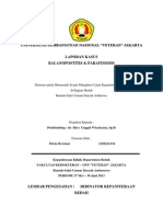 Balanopostitis & Parafimosis