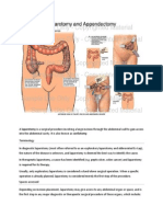 Laparotomy Procedure Explained