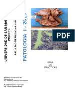 Guia de Practica Patologia I-2013-II