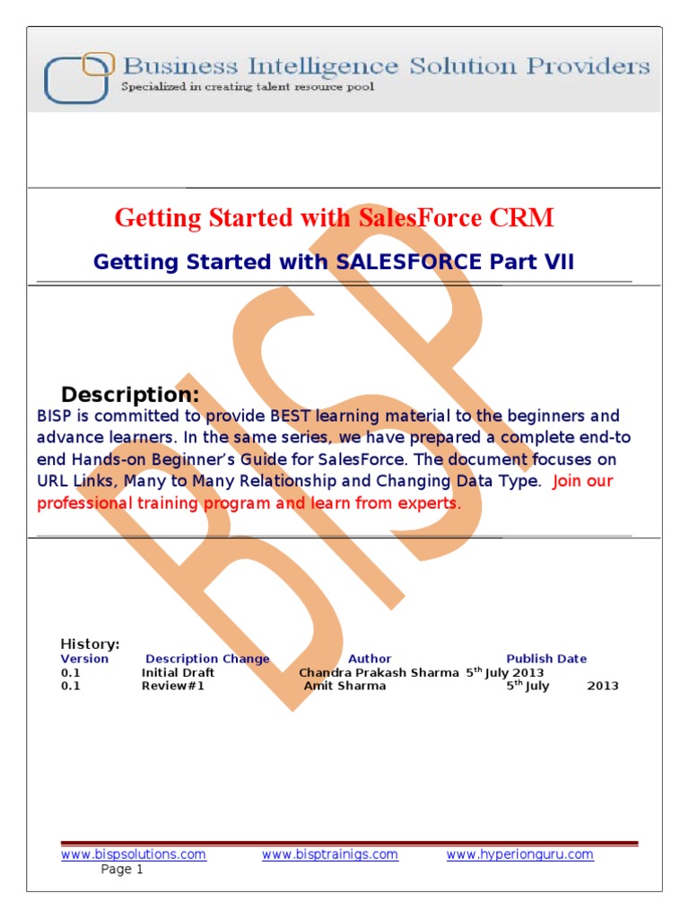 SalesForce CRM Beginner's Guide | PDF | Salesforce.Com | Websites