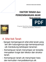 Faktor Tanah Dan Pertumbuhan Akar Tanaman