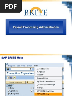 SAP Payroll Processing Administration