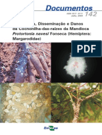 Bioecologia,-Disseminação-e-Danos-da-Cochonilha-das-raízes-da-Mandioca-Protortonia-navesi-Fonseca-(Hemiptera--Margarodidae)-
