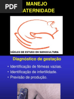 Aula gestação parto e maternidade