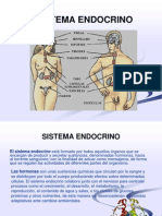 Sistema Endocrino.ppt