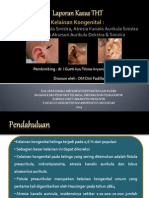 LAPSUS Otology - Dini Fadilla