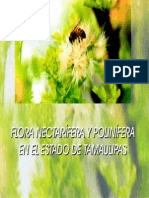 Flora Tamaulipas